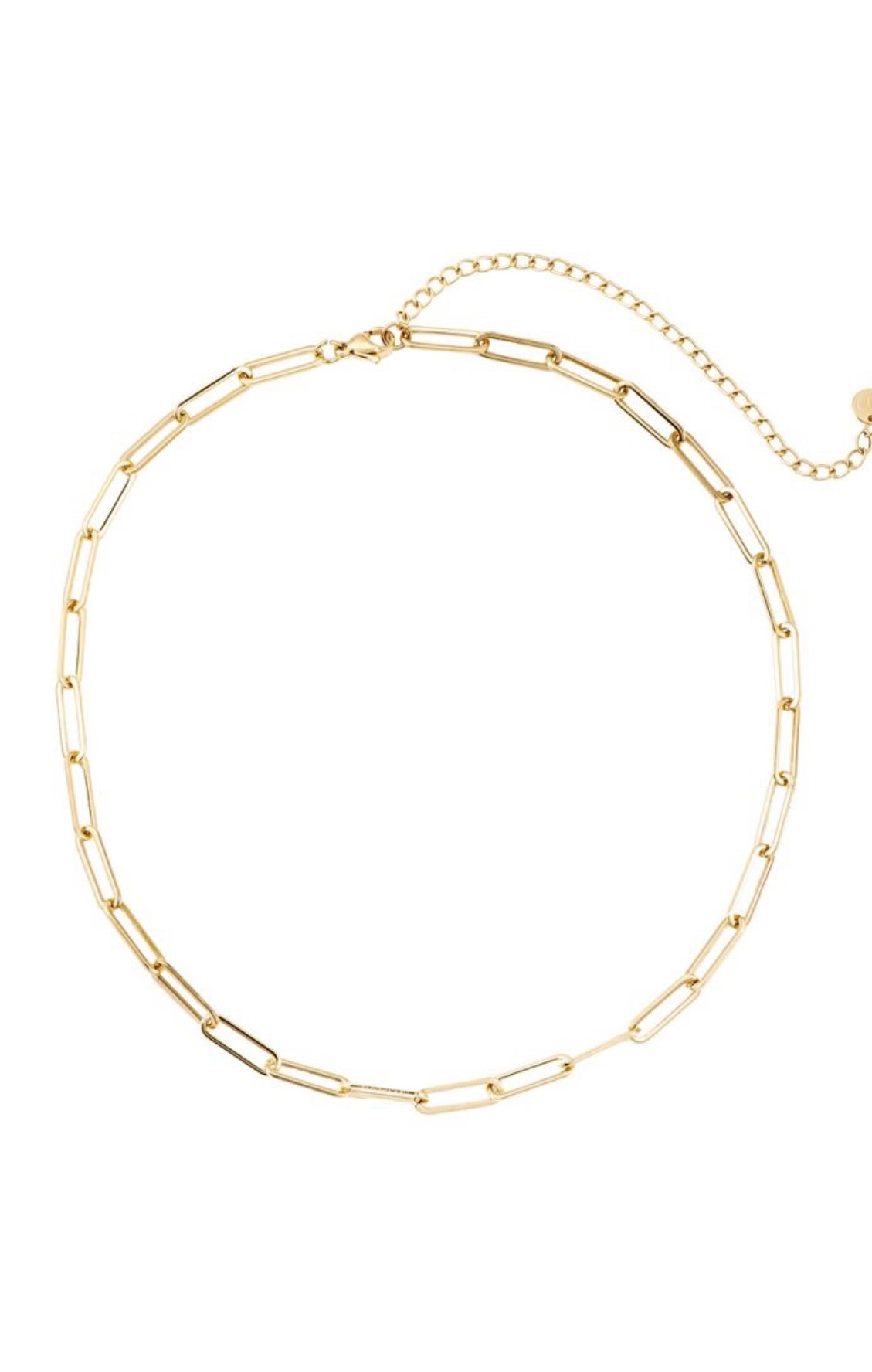 Charm Necklace