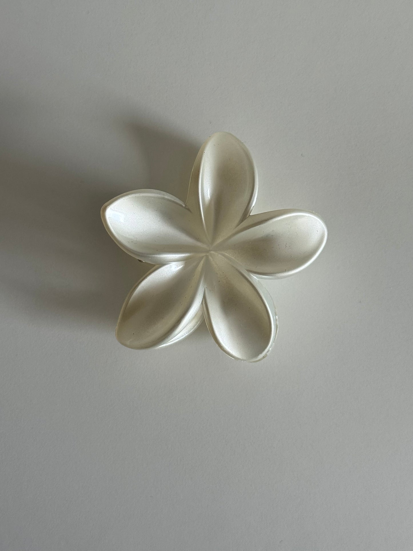 Haarklammer Herbst Traum