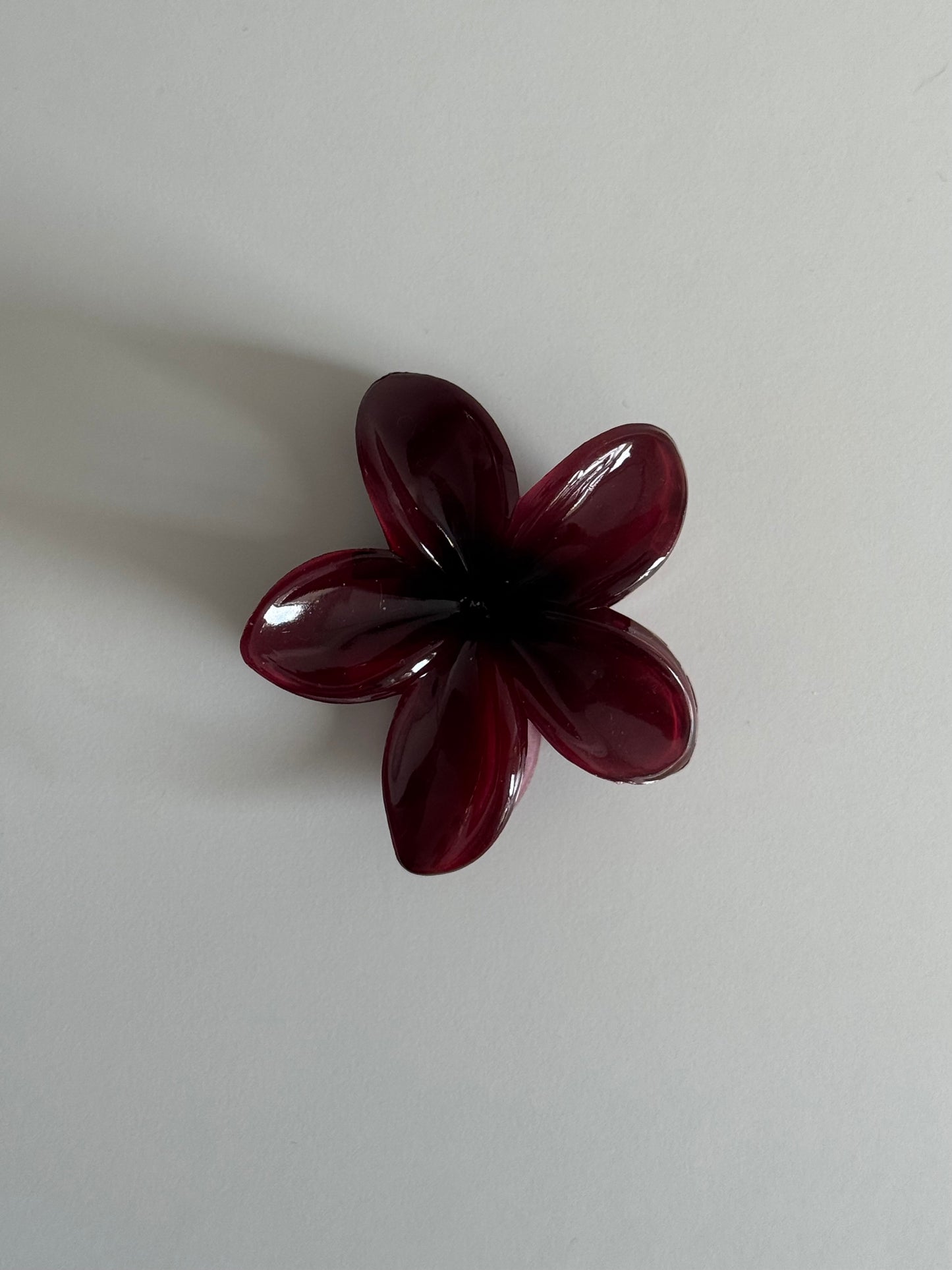 Haarklammer Herbst Traum