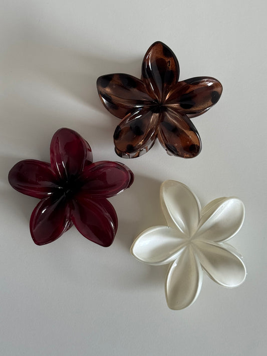 Haarklammer Herbst Traum